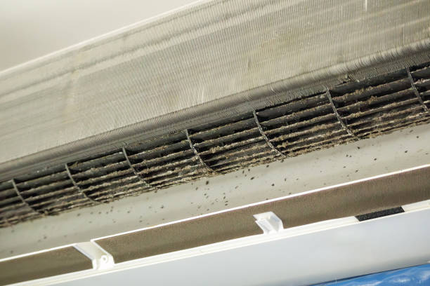 Best Affordable HVAC Duct Cleaning  in Thornwood, NY